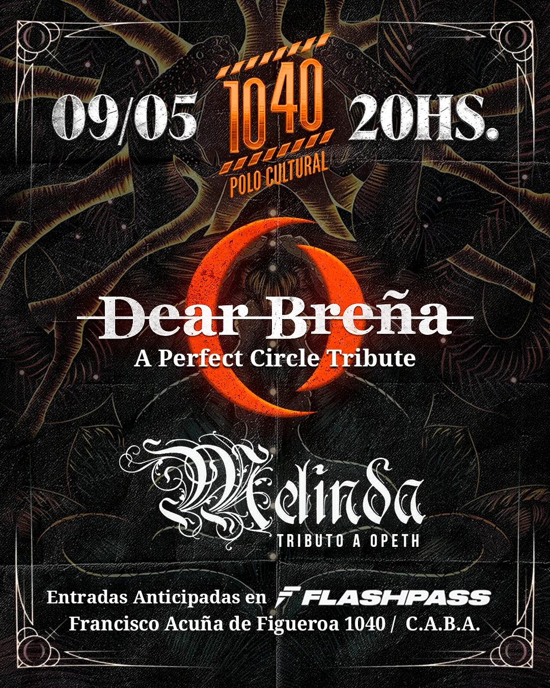 Dear breña, tributo "a perfect circle"